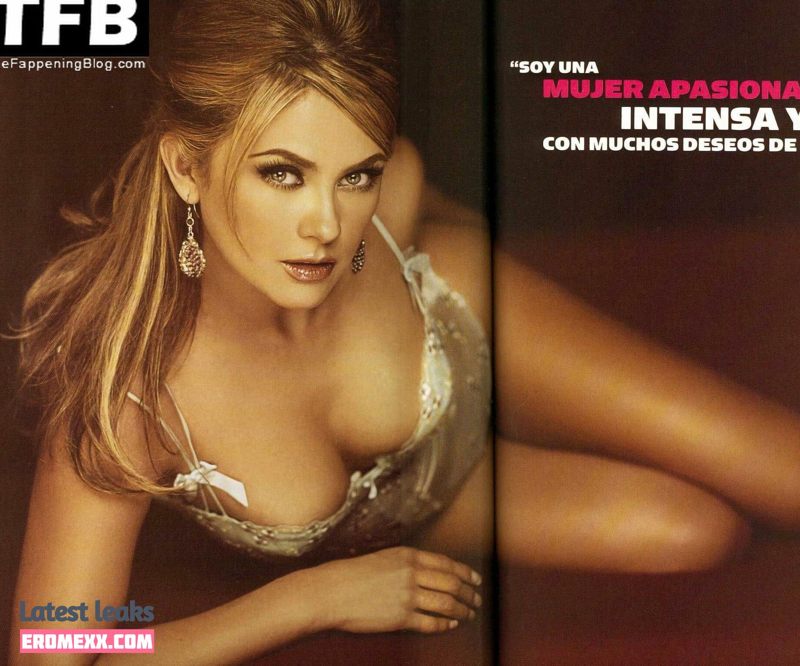 Latest Leaks Aracely Arambula Nude #66 - Fapello